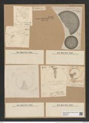 Coscinodiscus marginatus Ehr. (de-Toni-Nr.: Genus 202, Species 4966) Zeichnungen Sammlung Grunow Nr. 8561 (NHMW-BOT-W0378204)